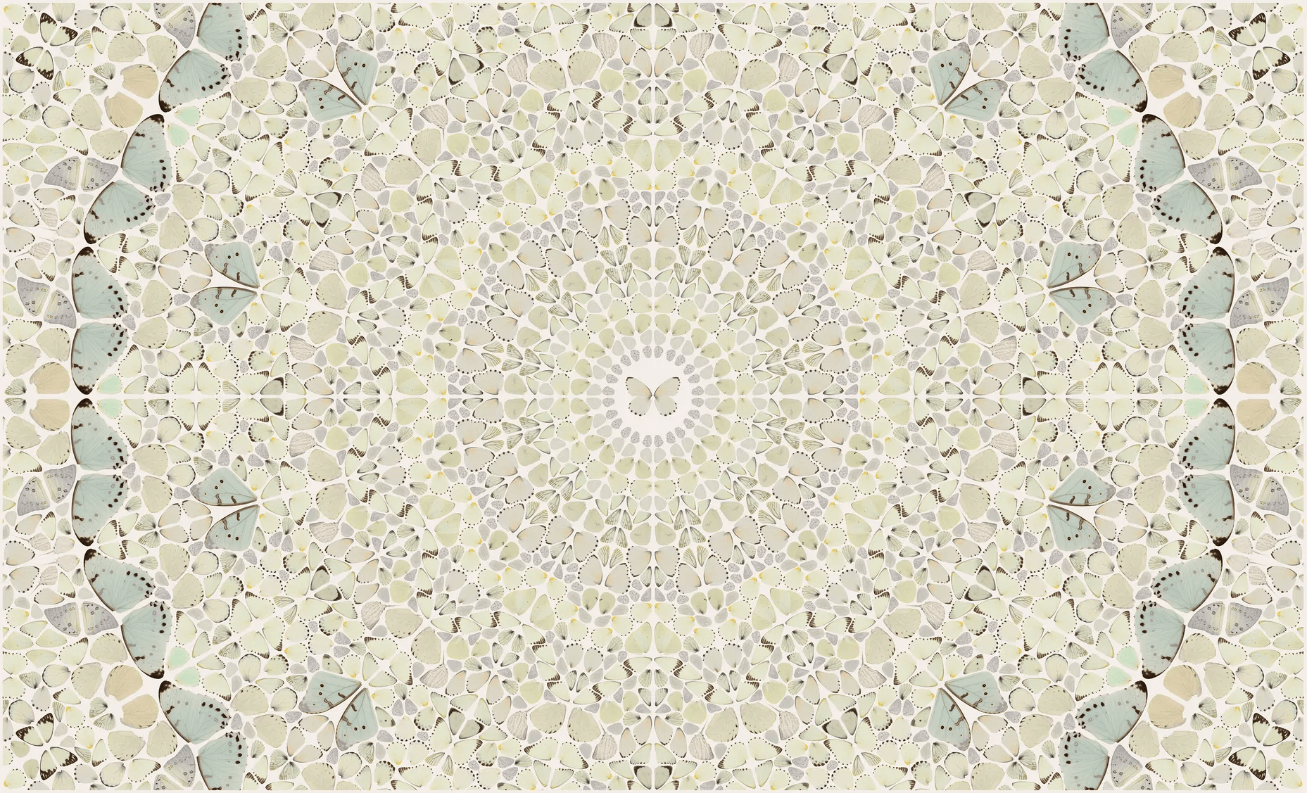 Damien Hirst | H18-5 Intricacy (The Kaleidoscopes) | Buy & Sell