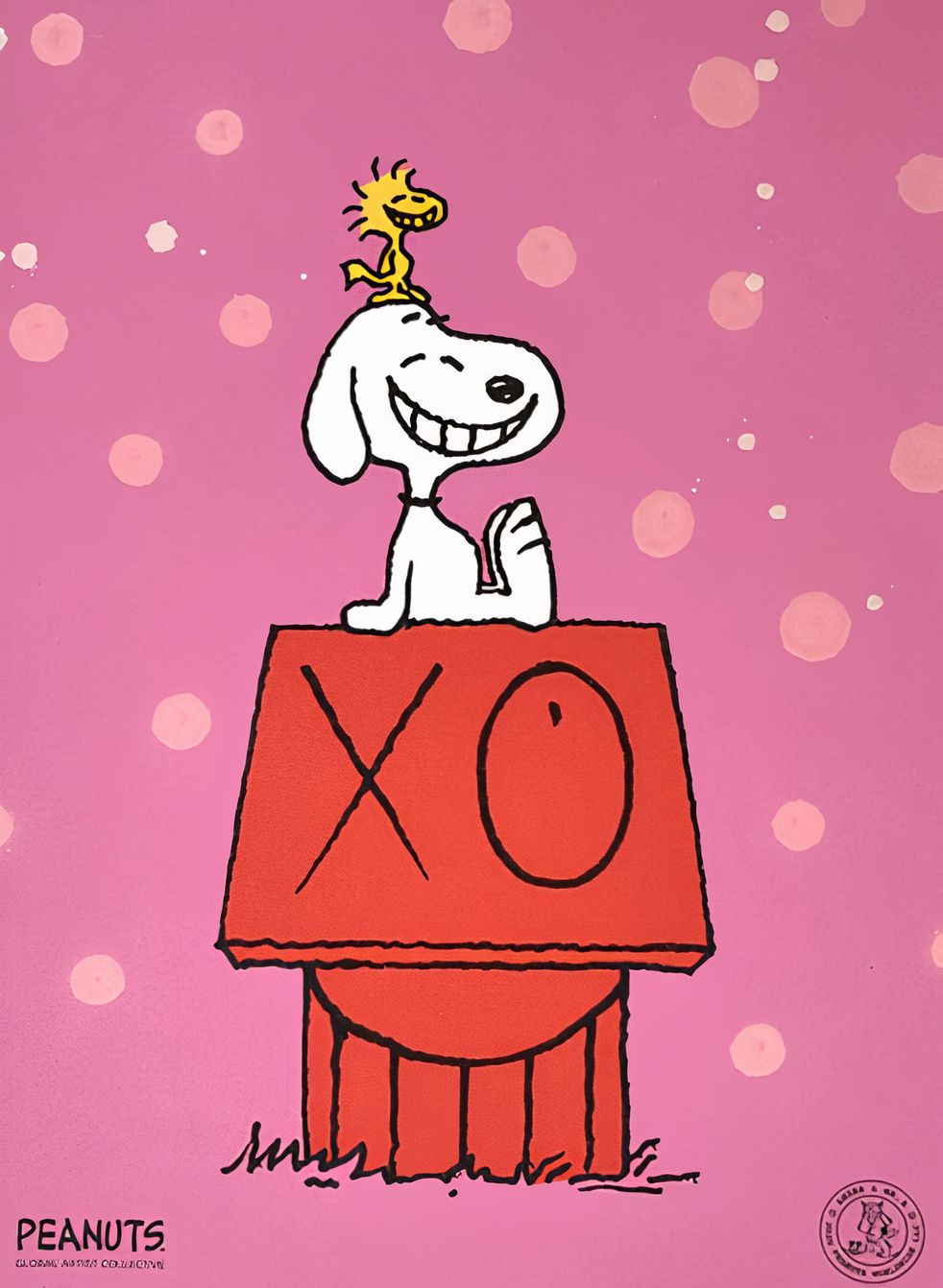 Andre_Saraiva_Snoopy_Woodstock