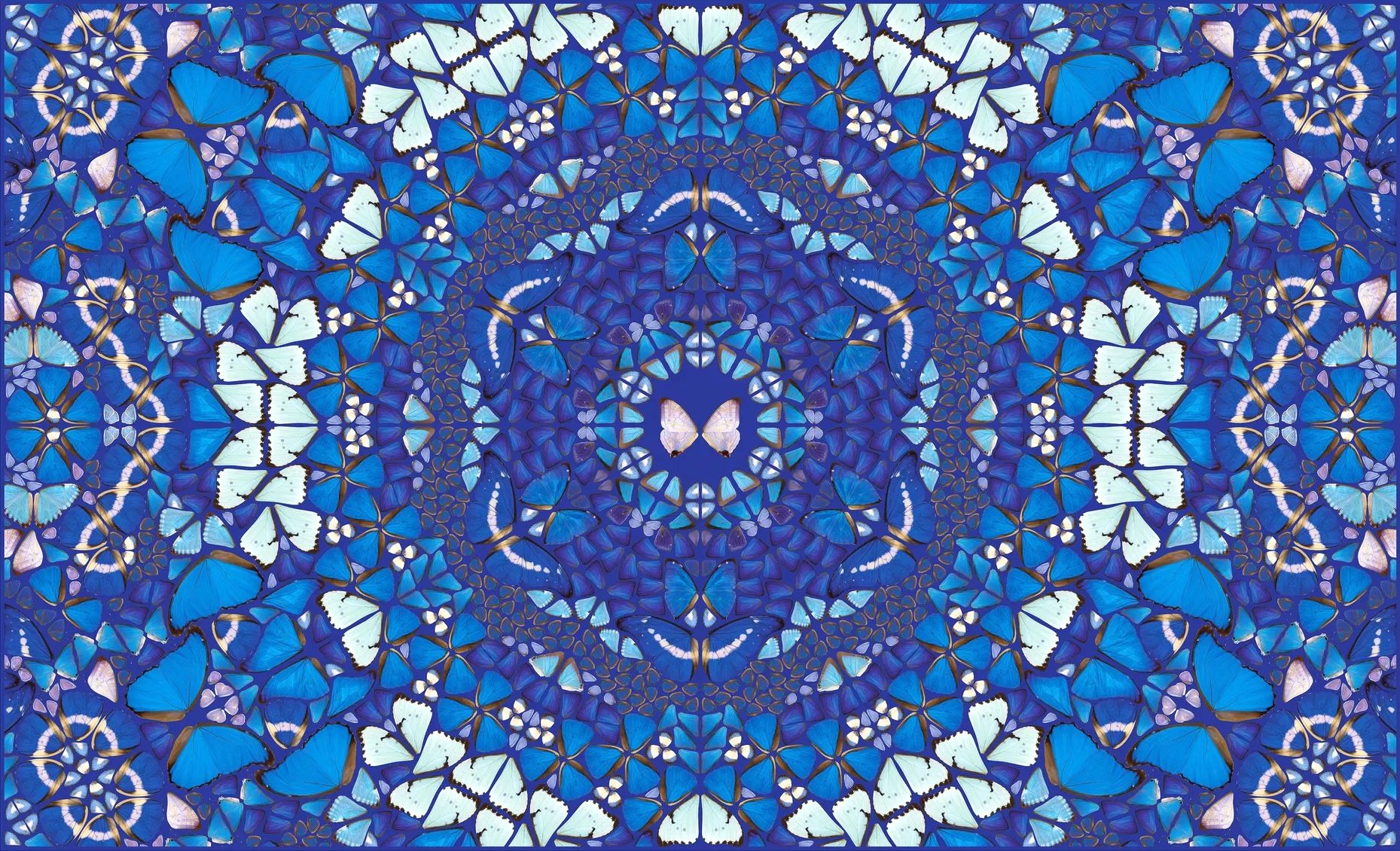 アート・デザイン・音楽 Damien Hirst Damien Hirst | H18-3 Psychedelic (The Kaleidoscopes) | Buy