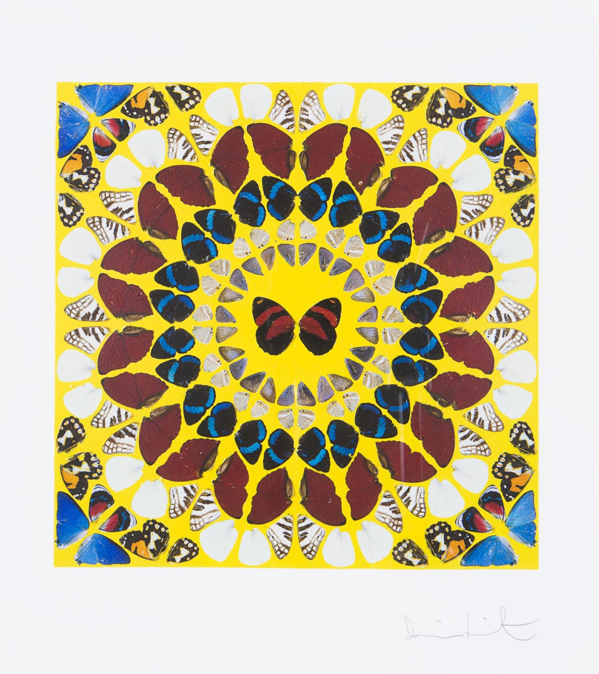Miracle Print by Damien Hirst - Buy & Sell Damien Hirst Prints