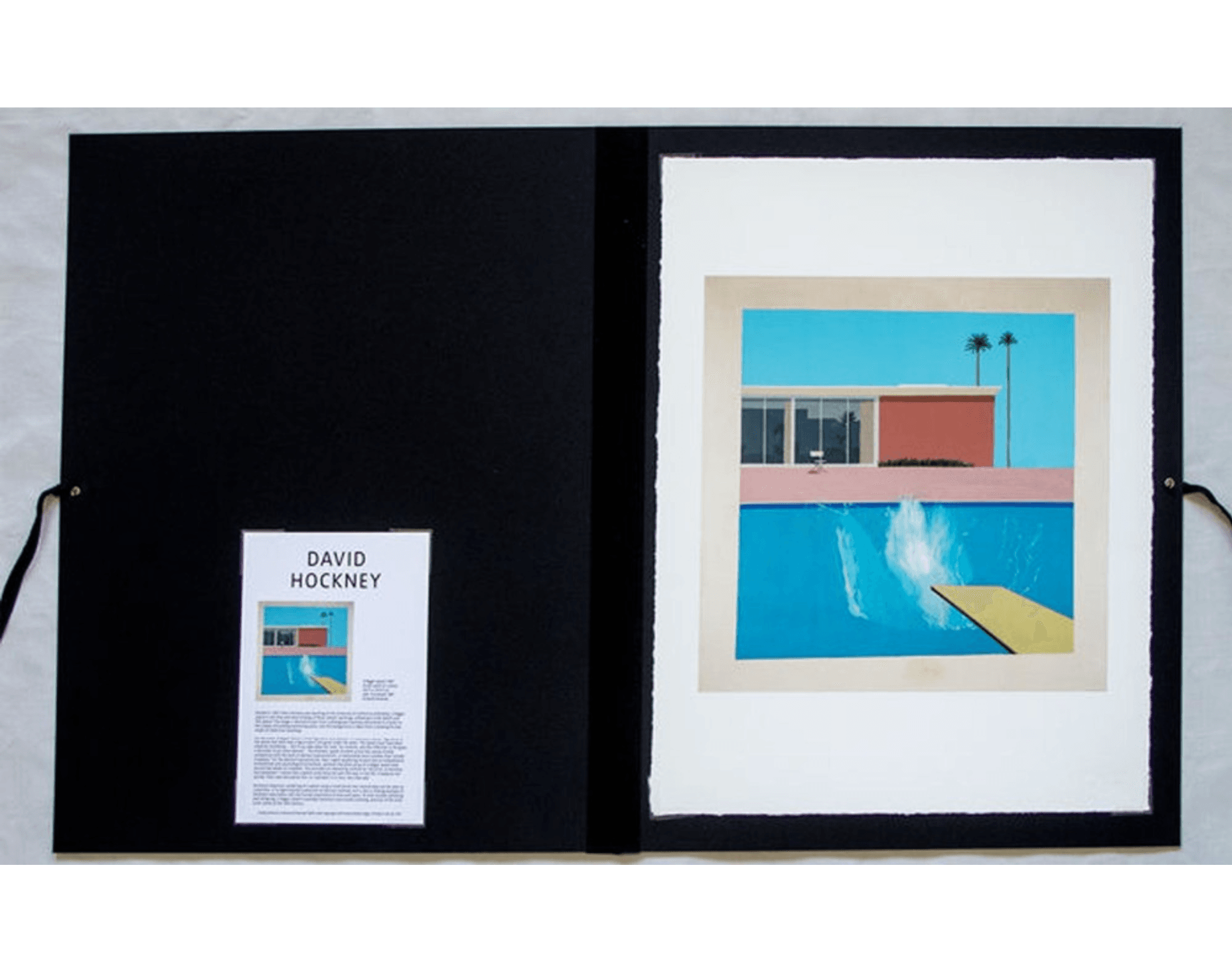 David Hockney | A Bigger Splash (Tate 2017) | Buy & Sell | FairArt
