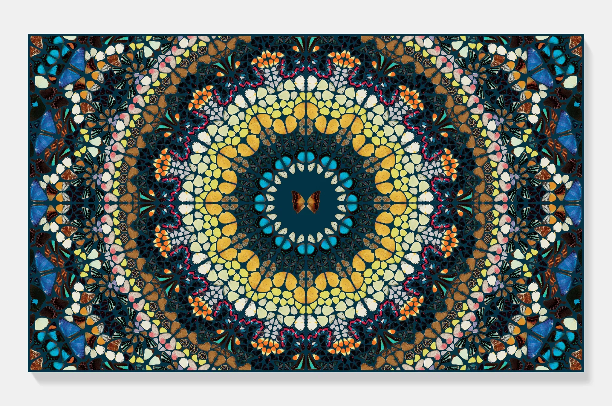Damien Hirst, Harlequin 