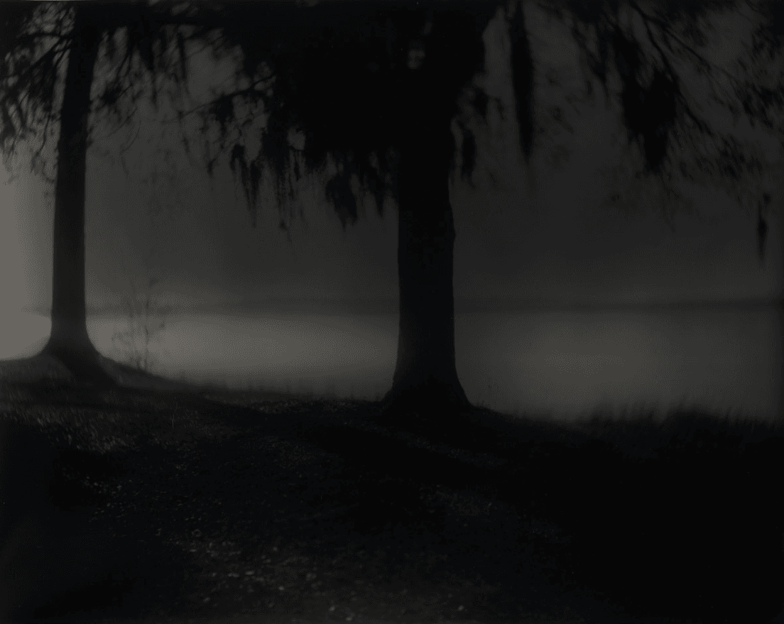 Sally Mann | Deep South, Untitled (Near Vicksburg) | Buy & Sell