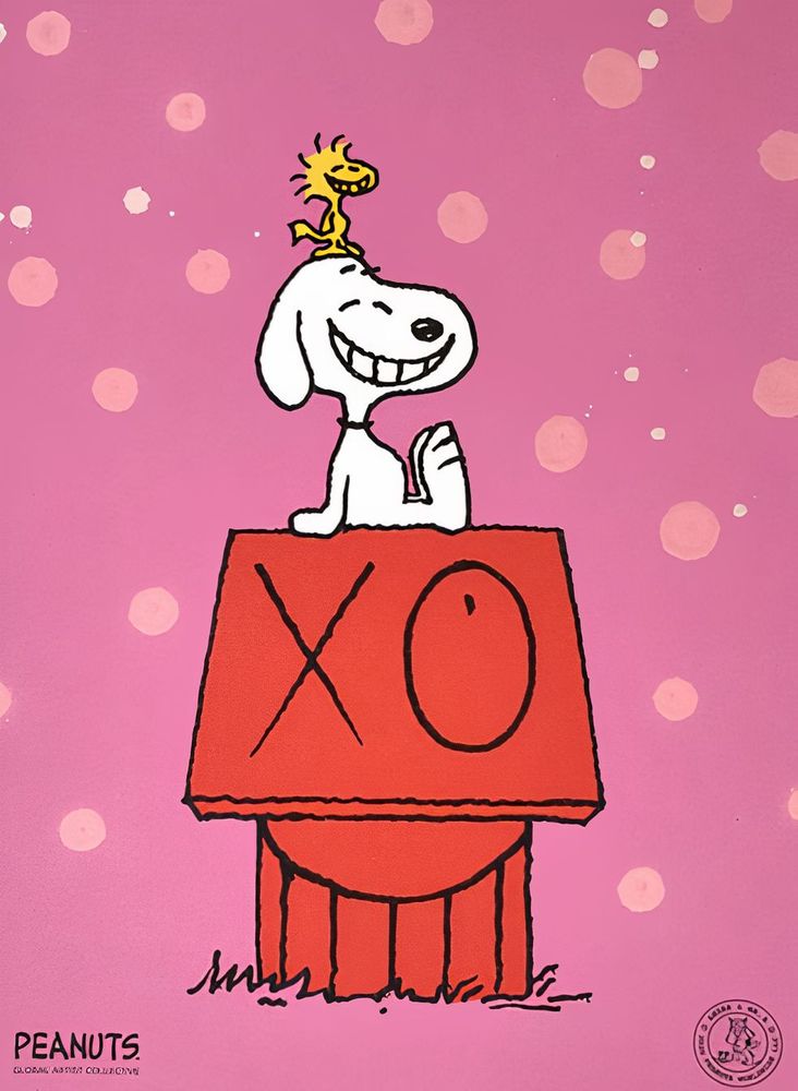 large_Andre_Saraiva_Snoopy_Woo