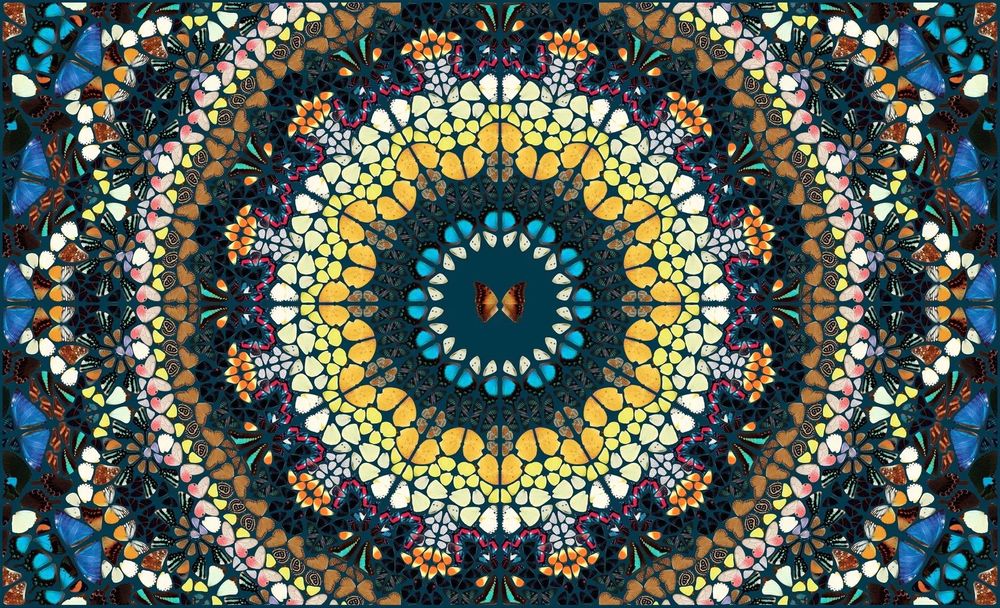 アート・デザイン・音楽 Damien Hirst Damien_Hirst_Harlequin_1_be2c4