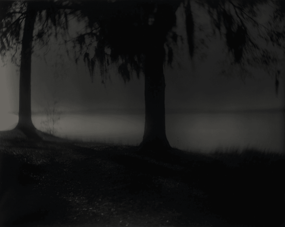 Sally Mann | Deep South, Untitled (Near Vicksburg) | Buy & Sell