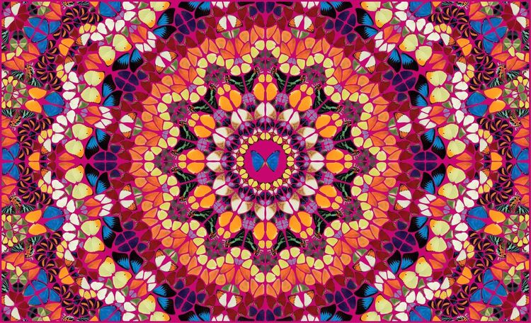 medium_Damien_Hirst_Harlequin_