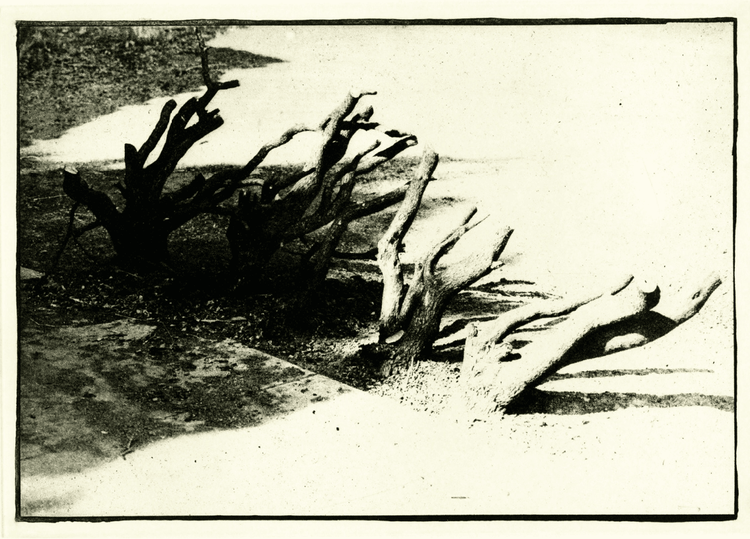David Lynch | Untitled #6 | Buy & Sell | FairArt