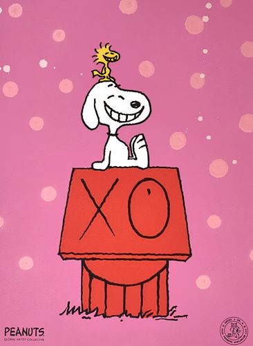 small_Andre_Saraiva_Snoopy_Woo