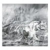 Gerhard Richter Tiger, 1965 版画 (2024) Art » Gerhard Richter